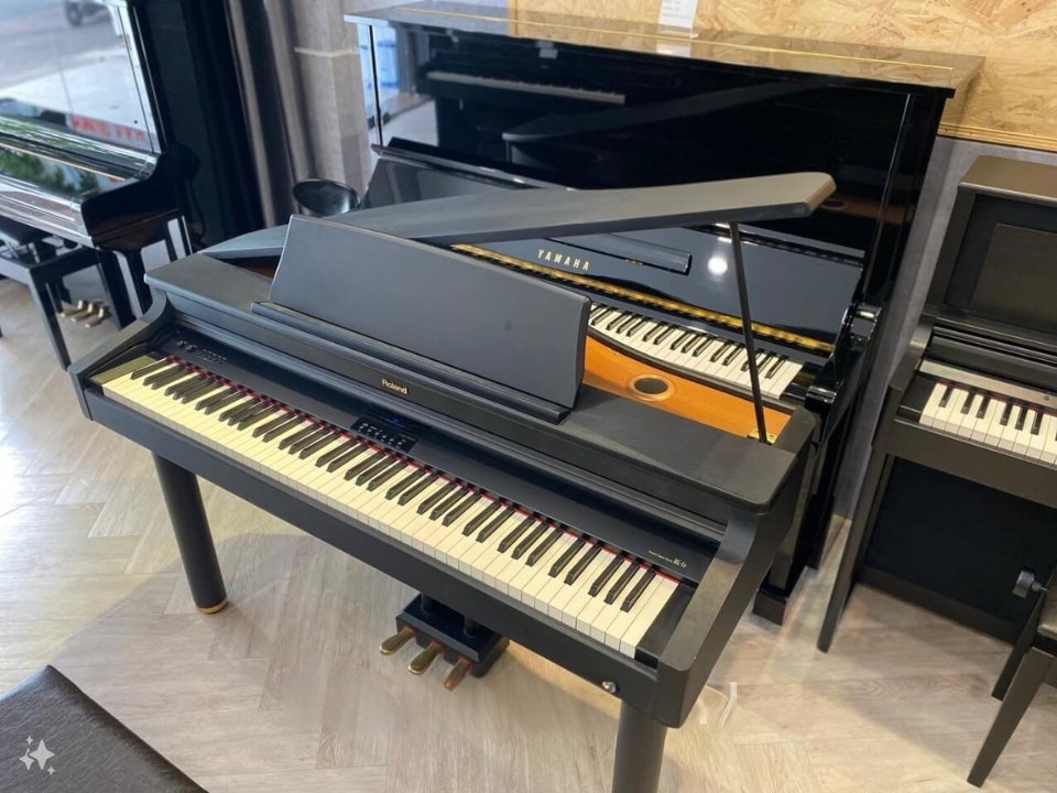 Hình ảnh chi tiết Roland RG-1 góc chụp 2